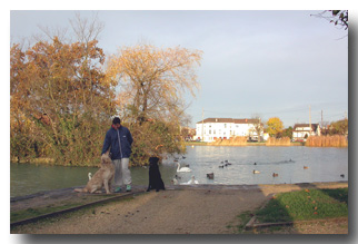 Cath en promenade avec Rglis et Sisko